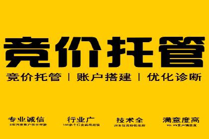 竞价SEM案例解析：旅游行业精准广告投放技巧
